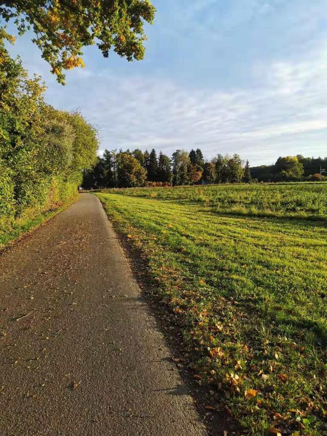 Ferienwohnung Magnolie In Langenargen Eksteriør billede